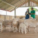 Nutritional Advantages of Zabiha Meat