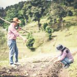 How to Freeze Zabiha Meat Properly: Tips for Freshness and Quality