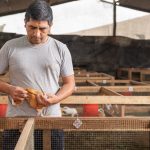 Our Standards for Premium Halal Meat